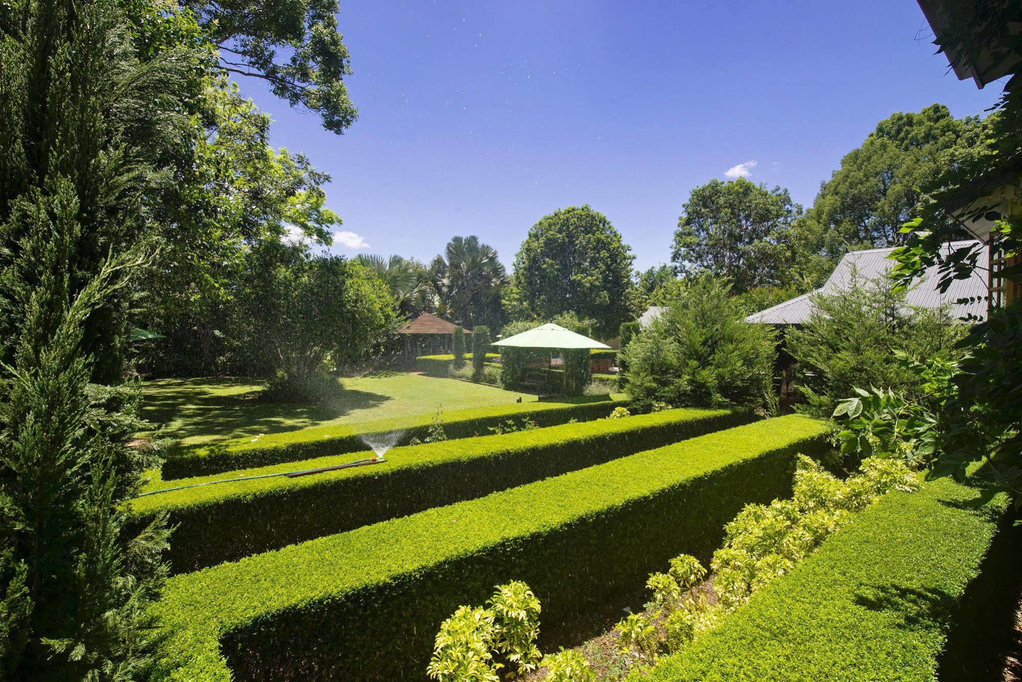 Allumbah Pocket Cottages Yungaburra Eksteriør billede